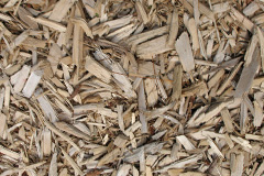 biomass boilers Panton