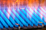 Panton gas fired boilers